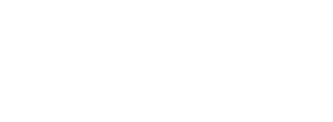 VAIS Technology